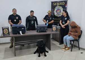 SENAD: Agente «Rocky» detecta cocaína oculta por mula que viajaba a Turquía