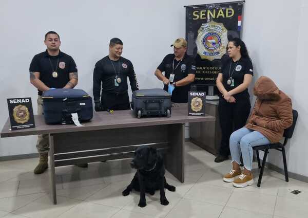 SENAD: Agente «Rocky» detecta cocaína oculta por mula que viajaba a Turquía