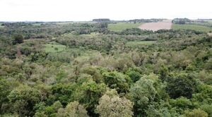 Llegan las subastas online a Paraguay: gran remate de campos, terrenos y casas en Itapúa