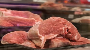 Sector porcino reanuda envíos al mercado ruso - Noticias Paraguay