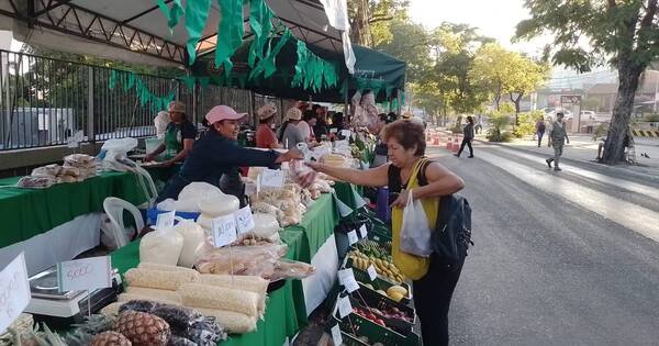 La Nación / Ferias de la agricultura familiar movieron G. 47.202 millones en todo el año