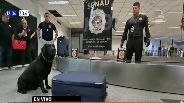 Rocky el can antidrogas evitó que mujer lleve droga a Turquía - Noticias Paraguay