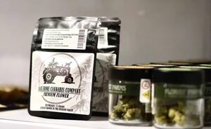 Abre la primera tienda legal de marihuana en Nueva York - Mundo - ABC Color