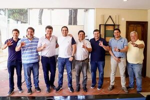 PLRA oficializa lista para la diputación en Central con 14 candidatos propios y 6 aliados - Política - ABC Color