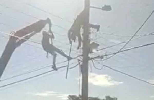 Electricista salvó a su amigo que quedó colgado de un poste eléctrico - Noticiero Paraguay