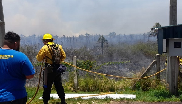 Incendio puso en peligro el peaje de la ruta Luque-San Ber, informan