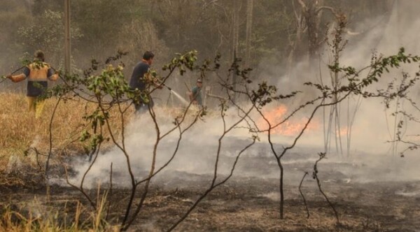 Diario HOY | Permisos de quema controlada aún no serán expedidos para evitar incendios forestales