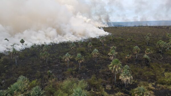 Ruta Luque-San Ber: bomberos trabajan para combatir incendio forestal - trece