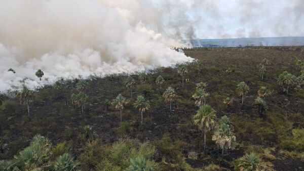 Sigue incendio de gran magnitud en ruta Luque-San Bernandino