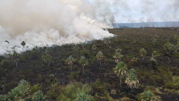 Reportan incendio de grandes proporciones en zona boscosa que une Luque con Areguá - Megacadena — Últimas Noticias de Paraguay
