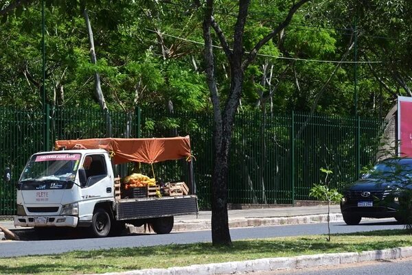 Denuncian presencia irregular de vendedores frente a Parque de la Salud - Nacionales - ABC Color