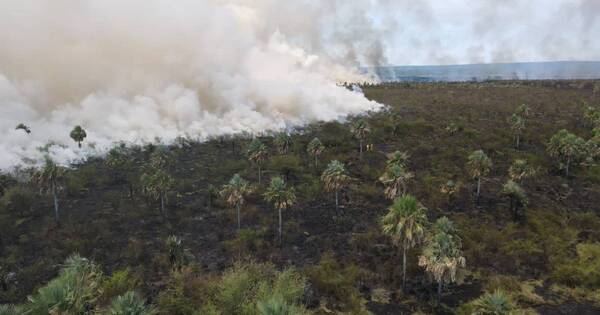 La Nación / Reportan incendio de grandes proporciones sobre la ruta Luque - San Bernardino
