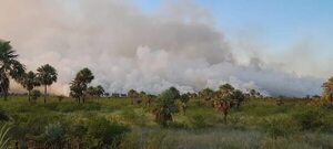 Bomberos de varias compañías siguen combatiendo el incendio en la zona del peaje Luque - San Bernardino   - Nacionales - ABC Color