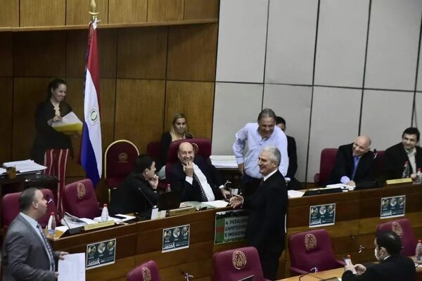 Cámara Alta deja pendiente plan de carrera civil y rotación de ministros en circunscripciones - Política - ABC Color