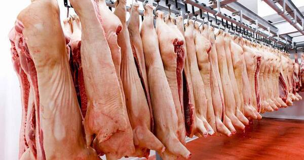 La Nación / Exportación de carne porcina cerraría el 2022 con una caída del 35%