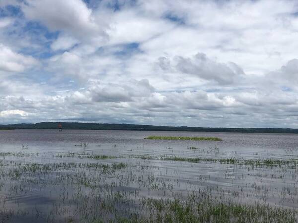 Diario HOY | Reiteran que aguas del Lago Ypacaraí no son aptas para el baño