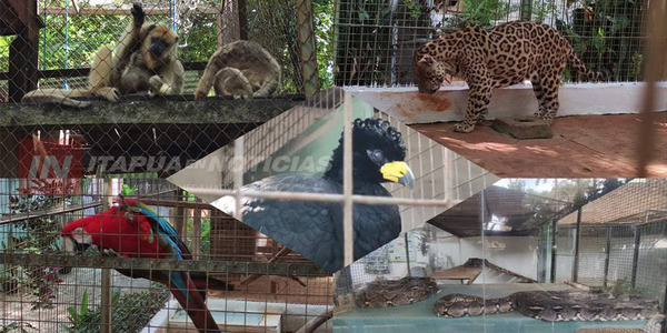 ZOOLÓGICO DEL JUAN XXIII ES UN LUGAR ÚNICO PARA VISITAR EN FAMILIA - Itapúa Noticias