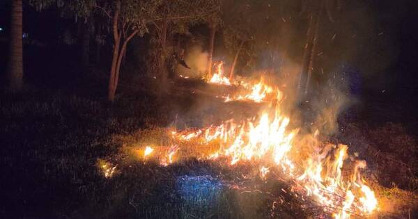La Nación / Bomberos trabajaron sin parar el último día del año e instan a evitar quemas de basura y pastizal