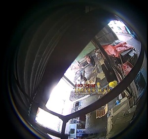 Roban gallinas del mercado municipal - Radio Imperio