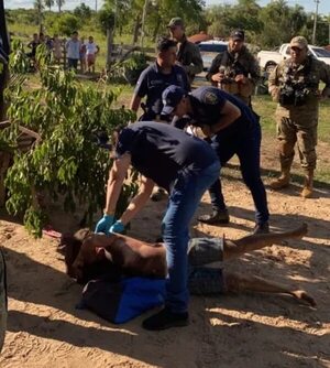 Detienen a presunto feminicida en Tacuatí  - Policiales - ABC Color