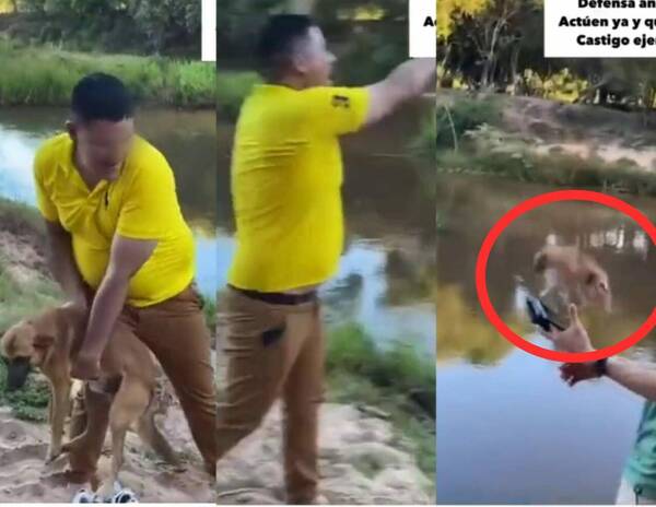 [VIDEO] Arriero lanzó a un perro a un arroyo y causó indignación