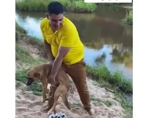 Video: arrojó a un perro al arroyo y podría ir a la cárcel - Nacionales - ABC Color