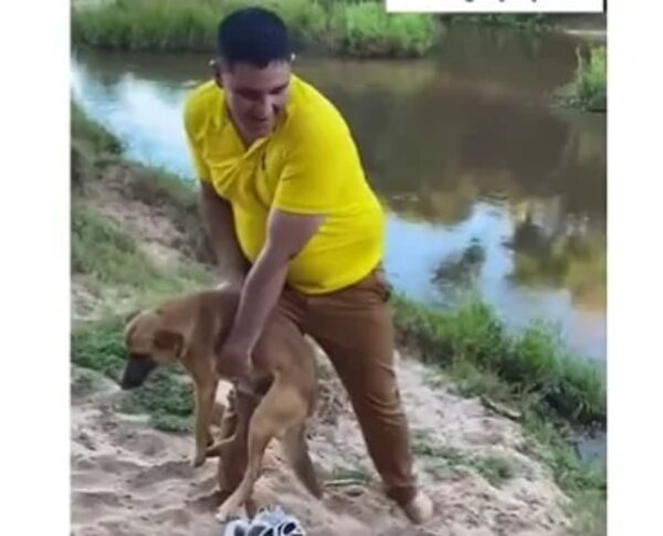 Video: arrojó a un perro al arroyo y podría ir a la cárcel - Nacionales - ABC Color