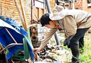 Senepa intensifica trabajos ante brotes de chikunguña en Central - Nacionales - ABC Color