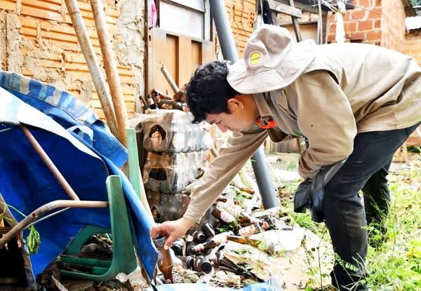 Senepa intensifica trabajos ante brotes de chikunguña en Central - Nacionales - ABC Color
