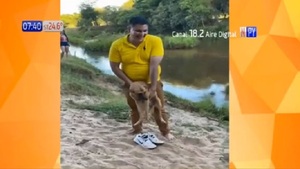 Crueldad atroz: Jóvenes filmaron como lanzaban a un perro a un río - Noticias Paraguay