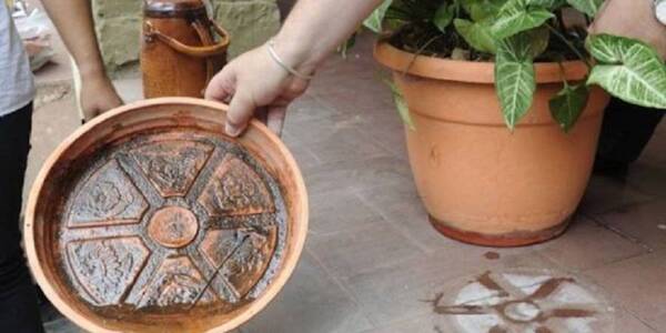 Diario HOY | Recuerdan eliminar criaderos de mosquitos después de cada lluvia