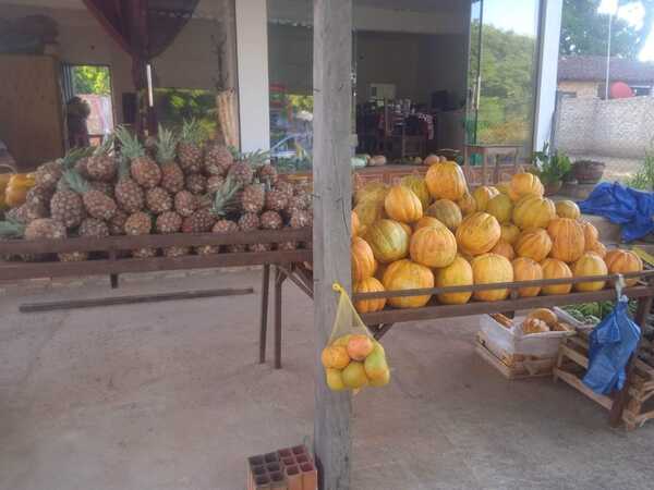 Preciosas frutas de la época exponen en Valenzuela - Noticiero Paraguay