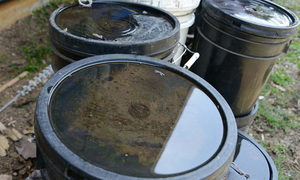Salud recuerda eliminar criaderos de mosquitos después de cada lluvia - OviedoPress