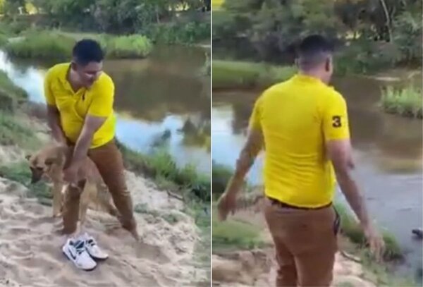 Hombre que tiró a un perro al agua se expone a 2 años de cárcel o multa, afirman desde Defensa Animal