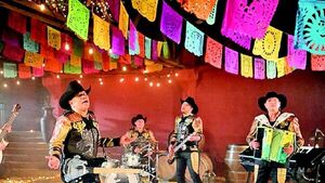 Bronco, Damas Gratis y Binomio de Oro llegan para el Cumbia Fest