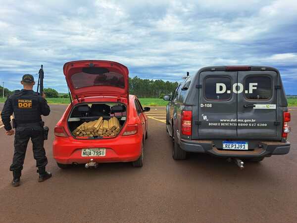 Incautan más de 130 kilos de marihuana que tenían como destino Campo Grande - Radio Imperio