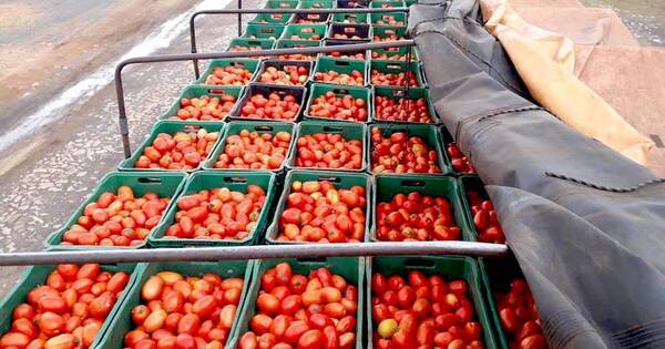 La Nación / Productores frutihortícolas piden equilibrio de precios este 2023