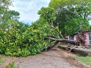 Temporal causa destrozos en Ayolas | 1000 Noticias