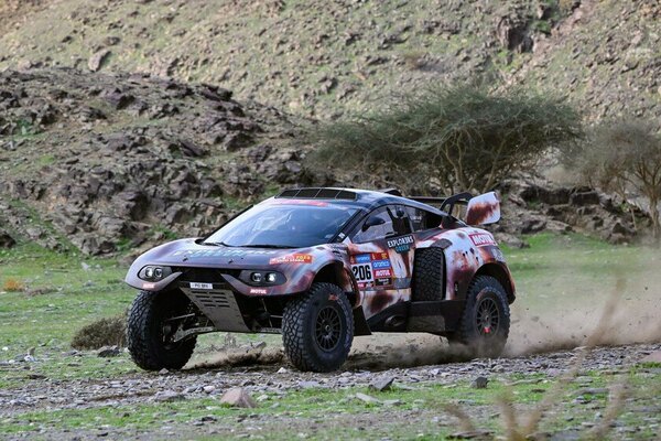 El francés Chicherit se impone en jornada dura para Sainz