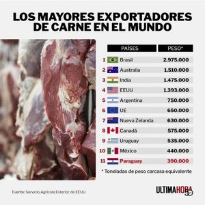 Paraguay ya no hace parte de los 10 mayores exportadores de carne