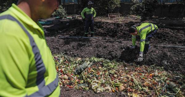 La Nación / La Pintana: el barrio más pobre de Santiago se torna modelo de reciclaje