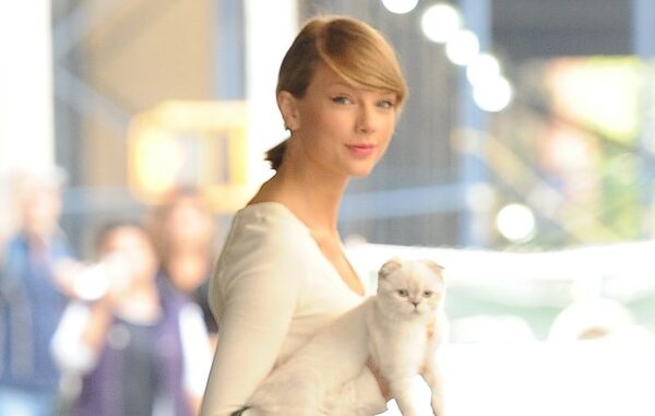 La gata de Taylor Swift vale USD 97 millones, según The Ultimate Pet Rich List - Megacadena — Últimas Noticias de Paraguay