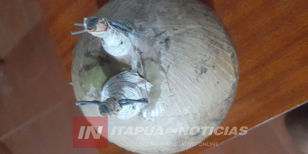 NIÑOS HALLARON UN APARENTE ARTEFACTO EXPLOSIVO EN LA CALLE - Itapúa Noticias