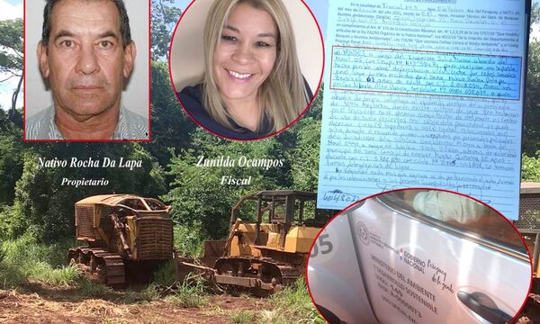 Nativo Rocha Da Lapa sigue operando impunemente, talando has de bosques en el norte de Alto Paraná – Diario TNPRESS
