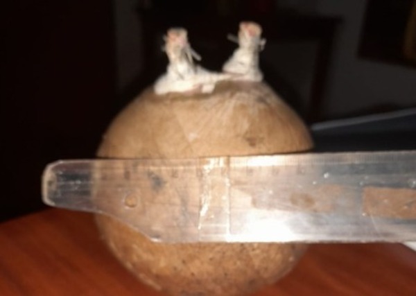 Niños tenían la intención de explotar artefacto con mechas hallado en Encarnación