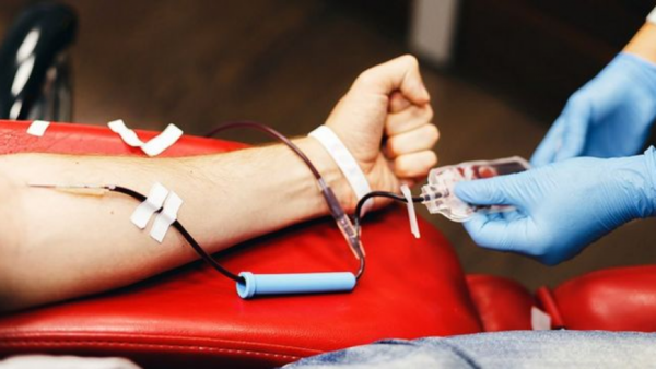 ¿Querés ser un rey mago? Daná sangre y conviértete en uno - trece