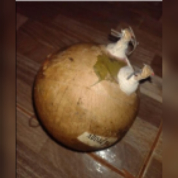 Niños se salvaron por un pelito: Encontraron bomba en forma de pelota