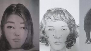 Internautas se burlan de identikits y Policía explica cómo se elaboran