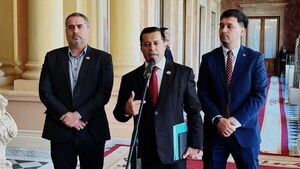 Paraguay no puede definir una tarifa de Itaipú sin Brasil, según la ANDE