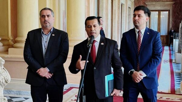 Paraguay no puede definir una tarifa de Itaipú sin Brasil, según la ANDE